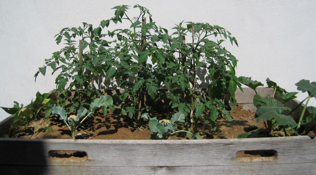 pot8